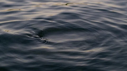 Waves Lap Gently Against Rocks In A Lake Stock Footage 87396746