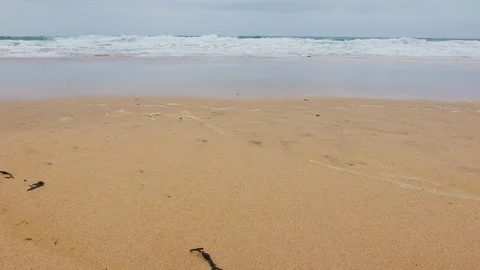 Waves lapping against the beach Stock Footage 116509277
