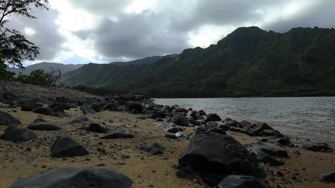 Waves lapping against rocks on beach with nature background in daytime Stock Footage 179639525