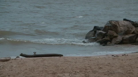 Waves lapping against rocky shore in slow motion Stock Footage 289732065