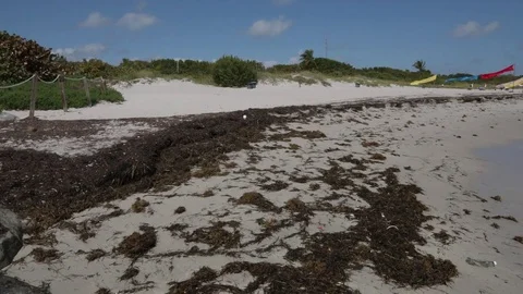 Waves Lapping on The Beach Video stock 83965452