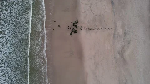 Waves Lapping on the Beach 動画素材 194514607