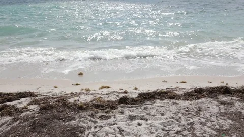 Waves Lapping on the Beach with Seaweed Accumulating Video stock 83971587