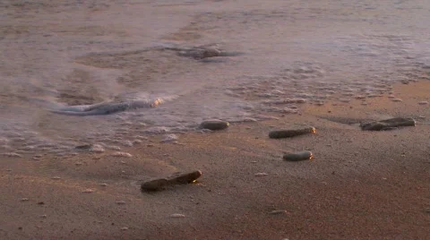 Waves lapping Video stock 89515