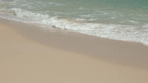 Waves lapping on Playa Alzada La Oliva Fuerteventura Stock Footage 220141297