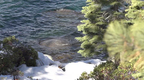 Waves lapping at rock and shore of Lake Tahoe 240p Stock Footage 22577260