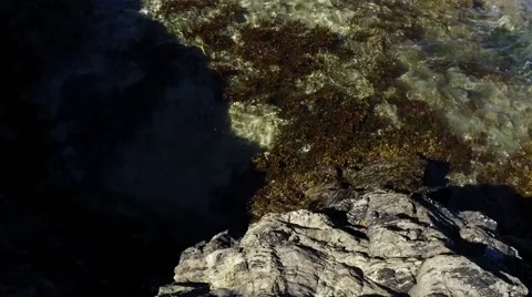 Waves lapping onto rock with seaweed in clear seawater and negative space. Stock Footage 66450674
