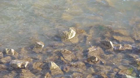 Waves lapping rocks in murky shallow water Stock Footage 233903013