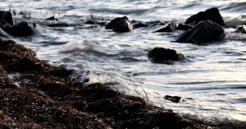 Waves lapping the rocky shore line, Lake Macquarie Stock Footage 211066255
