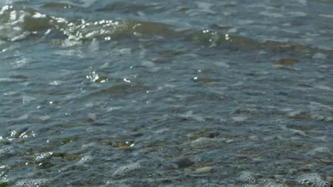 Waves lapping at a sandy shell beach, licking the golden sand. Medium shot. Video stock 331664292