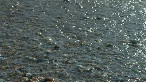 Waves lapping at a sandy shell beach, licking the golden sand. Medium shot. Stock Footage 334878306