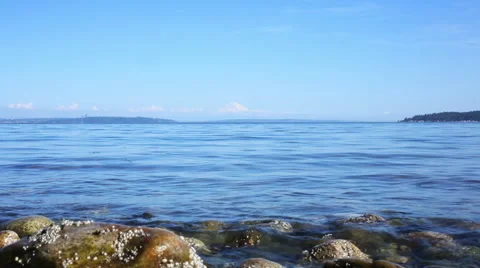WAVES LAPPING ON SERENE NORTHWEST COASTAL SHORELINE Stock Footage 52330802