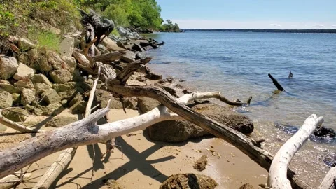 Waves lapping on shoreline, Solomons Island, Calvert County, Maryland Stock Footage 140886265