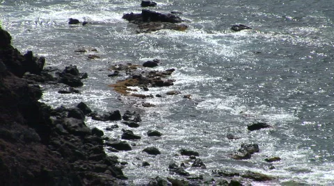 Waves on Lava Rocks 動画素材 341663