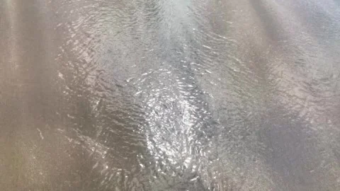 Waves leaving the shoreline Stock Footage 294304026