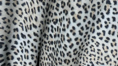 Waves of leopard tissue. Stock Footage 103580162