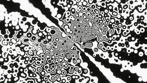 Waves of lines and circles move in looped animation. Geometric graphic fractal b Stockbeeldmateriaal 247235950