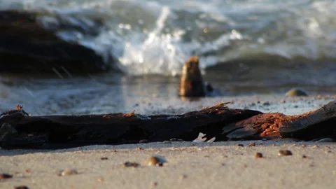 Waves on a log Video stock 91706181