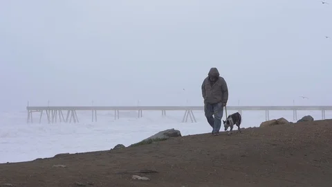 Waves a man with a dog 스톡 동영상 112954305