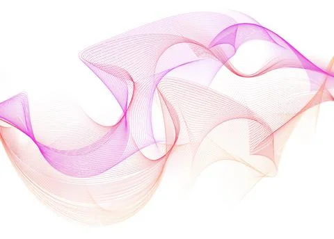 Waves of many lines flow purple red gradient, vector abstract wavy stripes 스톡 일러스트