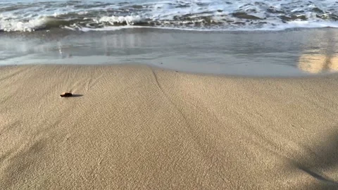 Waves of Mediterranean Sea rolling in sunshine to the sandy beach. Stock Footage 228030278
