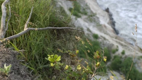 Waves at Meons Cliff Stock-Footage 86792828