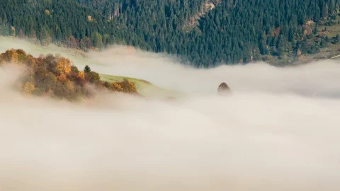 Waves of mist clouds moving fast in autumn forest landscape Time lapse Stock Footage 104029384