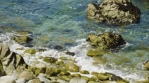 Waves in Monterey Bay Stock Footage 244823070