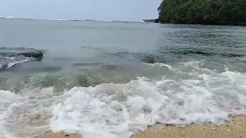 Waves in the morning Stock Footage 219238347