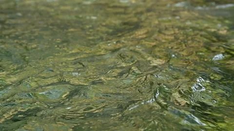 Waves on a mountain stream reflect green trees (slow motion) Stock Footage 260844466