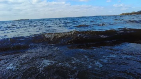 Waves move on the water surface at a lake near a forest on a clear day with blue Stock Footage 332635354