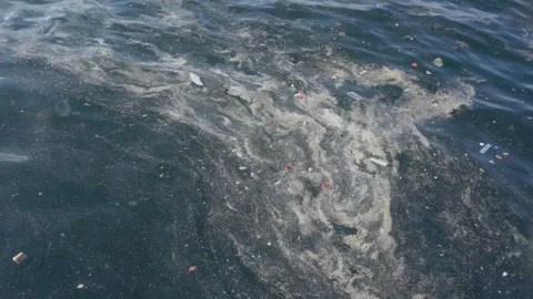 Waves moving across the sea surface carry an array of garbage Stock Footage 291344458