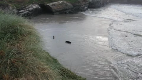 Waves moving logs in a beach in Galicia, Spain Stock Footage 303671088