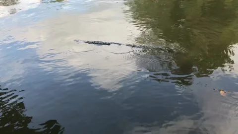 Waves moving over a stone in the lake Stockbeeldmateriaal 140979594