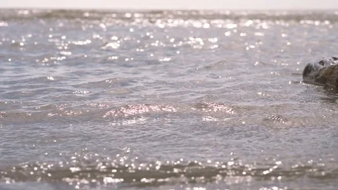 Waves near the sea Stock Footage 90537802