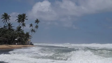 Waves in the ocean on the background of palm trees Stock Footage 204736577