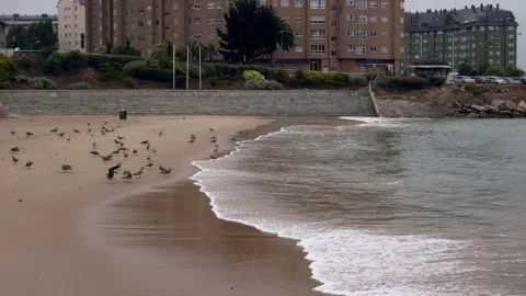 The waves of the ocean on the beach with golden sand. City beach in cloudy Stock Footage 221407293