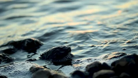 The waves of the ocean beat against the rocky shore Stock Footage 167940960