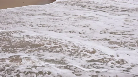 The waves of the ocean crash against the sandy beach. On the beach many seagulls Stock Footage 230282249