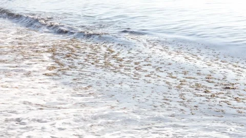 Waves in the ocean filled with algae Stock Footage 283276820