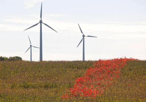 Waves on the ocean Stock Photos