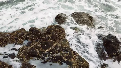 Waves of Ocean splashing on rocks and stones at a beach Coast 스톡 동영상 342698113