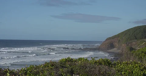 Waves on the Oregon shores Vidéo 71286654