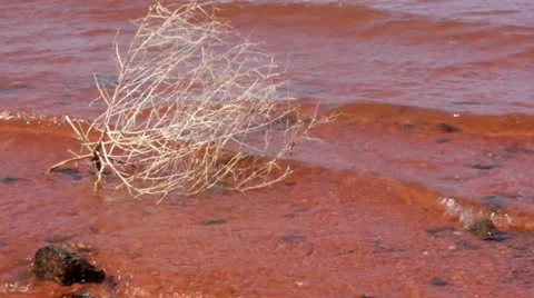 Waves over sagebrush Video stock 11239601