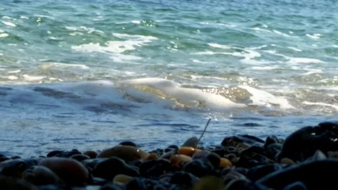 Waves over Small Stones Stock Footage 111523639