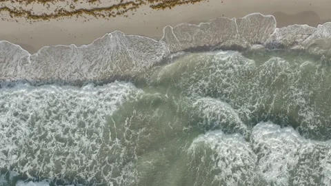 Waves over white sand beach in Miami Beach, Florida Stock Footage 175814364