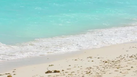 Waves in the Pacific ocean. Beautiful blue water with white sand. Seashore of Video stock 240750012