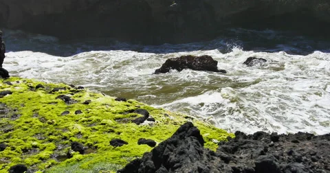 Waves Passing by Mossy Rocks Stock Footage 44281209