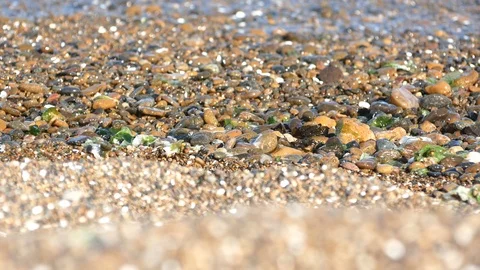 Waves on pebbles seashore Stock Footage 100803537