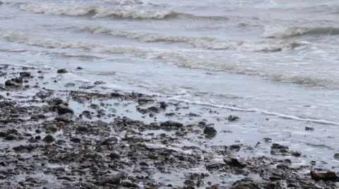 Waves on Pebbly Beach Vídeo Stock 54027830